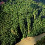 Chiapas selva y rio
