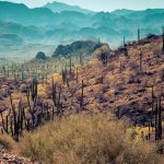 120201123-Baja-California-Road-Trip-JENS5567